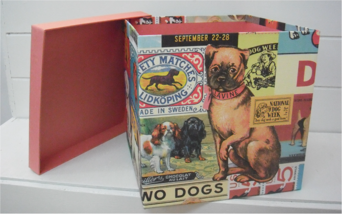 dog-box　犬の箱