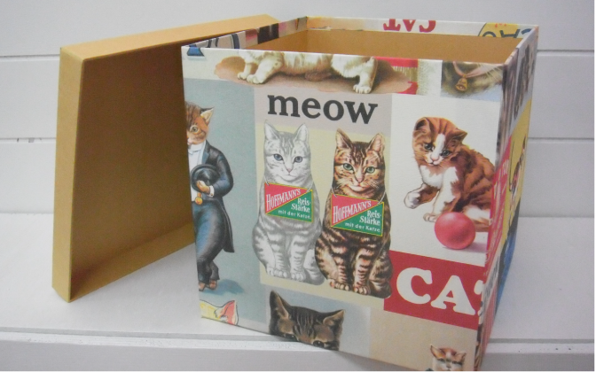 cat-box　猫の箱